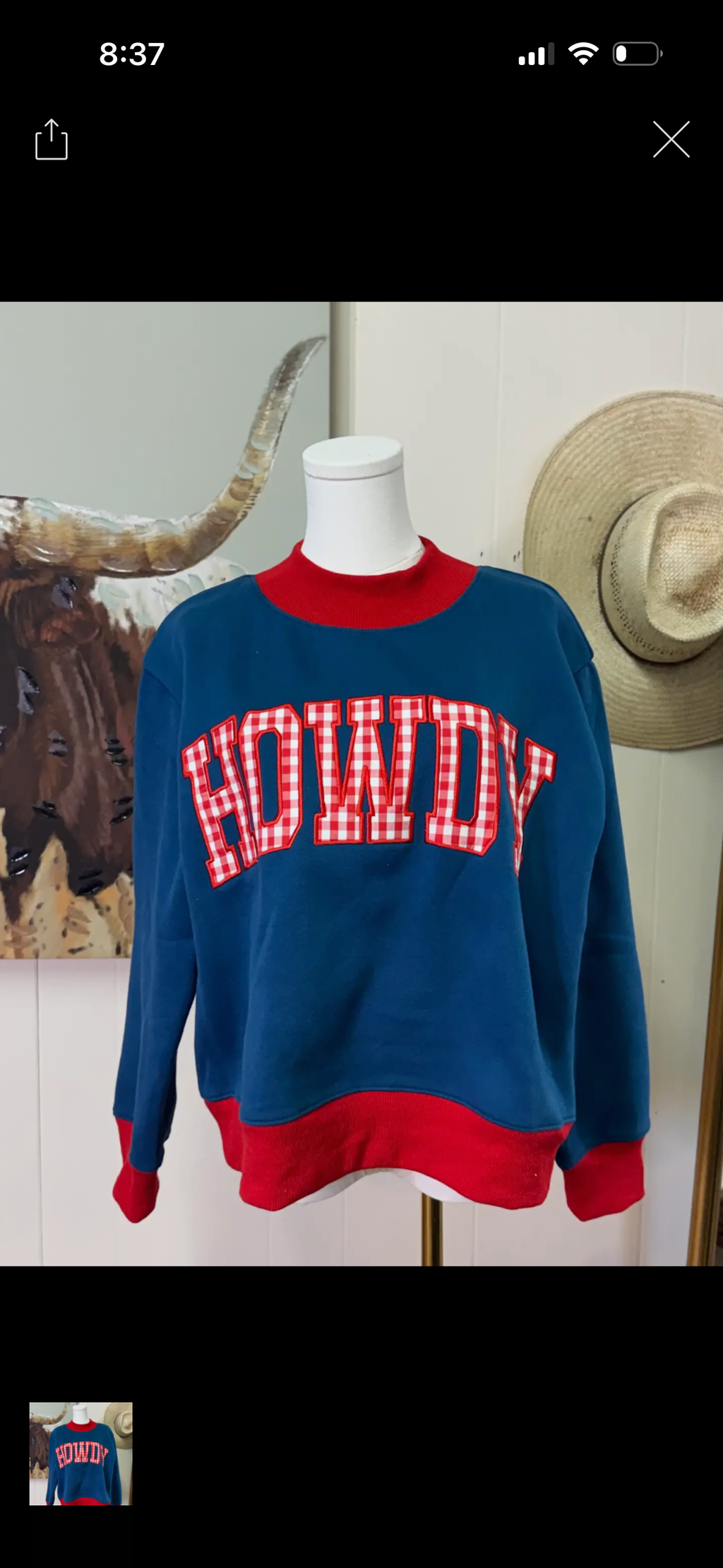 Red Gingham Howdy Appliqué Mock Neck Blue Sweater